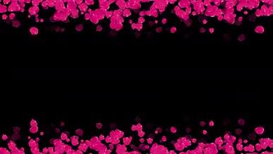 浪漫情人节婚礼玫瑰花边框视频的预览图